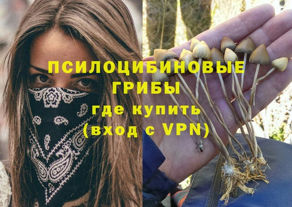 сатива Михайловка