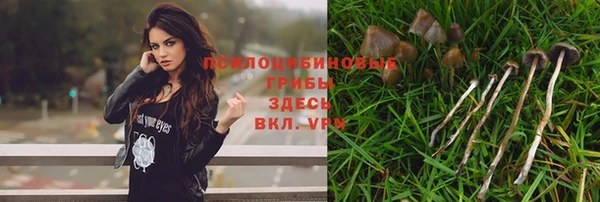 ECSTASY Михайловск