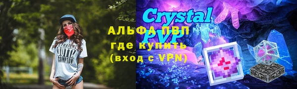 сатива Михайловка
