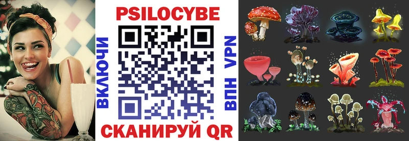 Псилоцибиновые грибы Psilocybe  купить наркотики цена  Подольск 