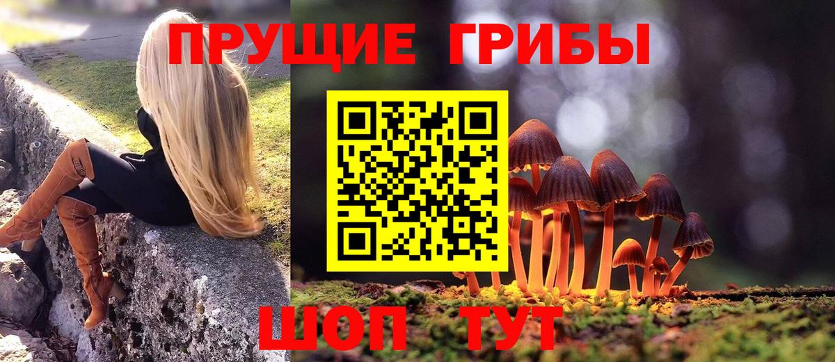 Псилоцибиновые грибы MAGIC MUSHROOMS Подольск