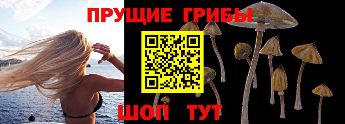 Псилоцибиновые грибы MAGIC MUSHROOMS  закладка  Псилоцибиновые грибы прущие грибы  Подольск  Вход с VPN 