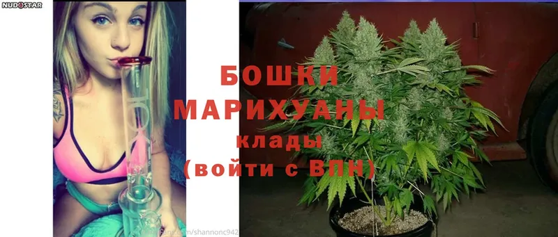 купить наркотики цена  Подольск  Шишки марихуана Bruce Banner 